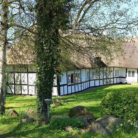 Birkelygaard Bed & Breakfast Hårby 外观 照片