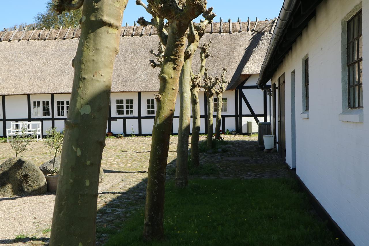 Birkelygaard Bed & Breakfast Hårby 外观 照片